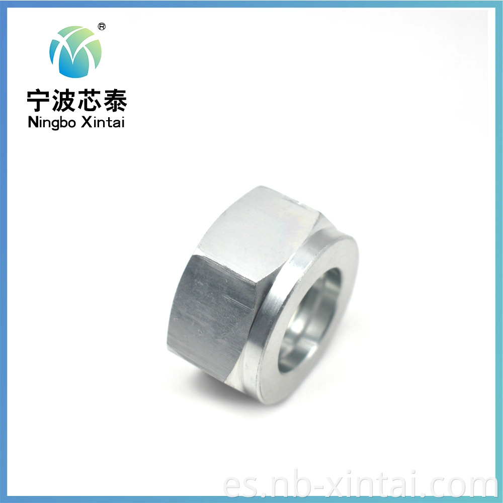 Tuercas de tornillo de acero de carbono galvanizado de tuercas hexagonales de ningbo suministro de rosca de hilo de férula